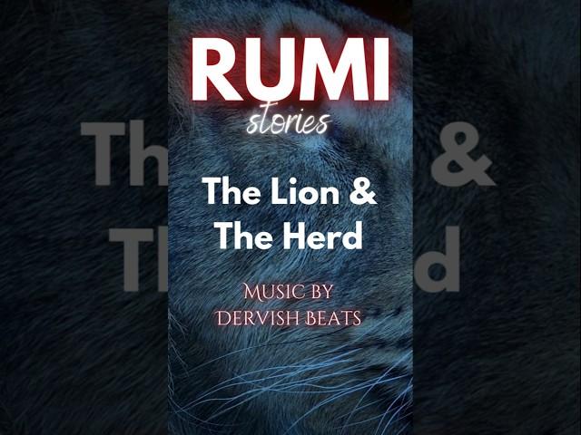 RUMI The Lion & the herd #rumistories #RumiWisdom #SelfRealization #divinenature #short #rumishorts