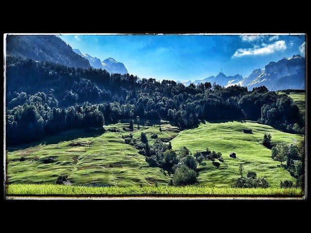 Mountain Sounds for Studying Sleeping – Cowbells Birds – complete Silence – Breeze - Forest