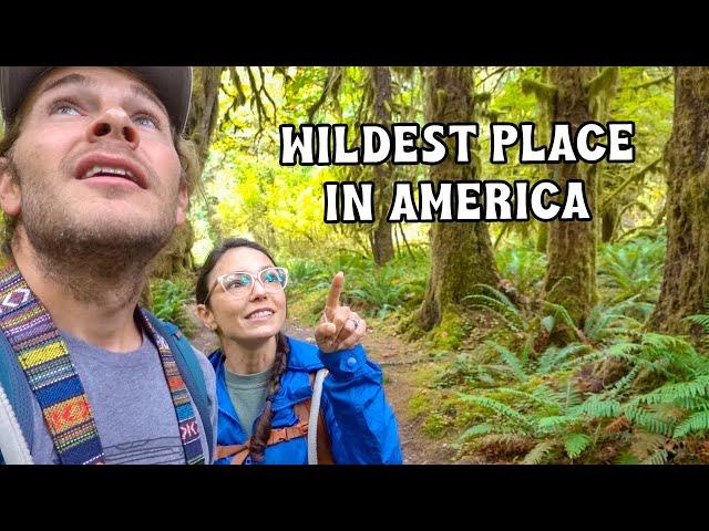 EXPLORING THE HOH RAINFOREST IN OLYMPIC NATIONAL PARK DURING THE PANDEMIC.