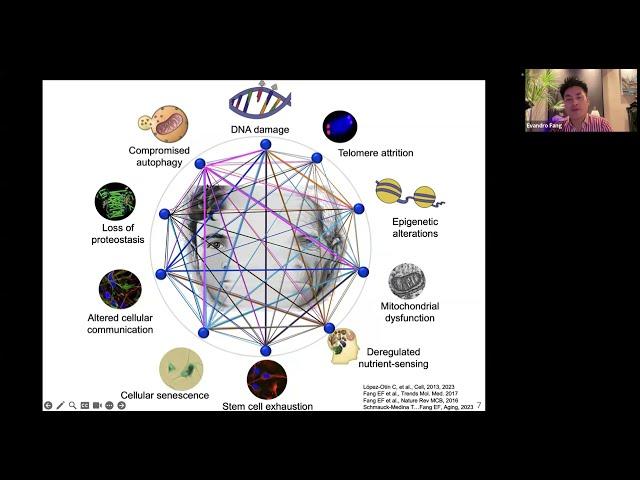 [Fei Fang] The 5“A”s: ageing, autophagy, Alzheimer’s, AI, and an “A” molecule” in healthy longevity.