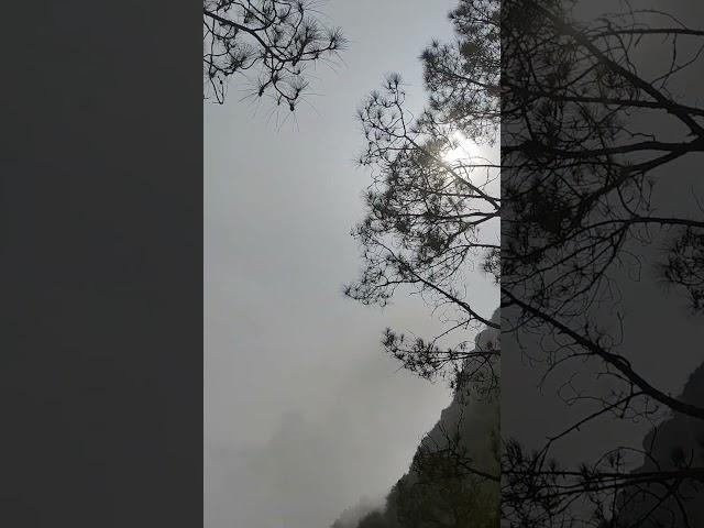 14 Jun 2025 weather of my village #nature #travel #love #mountains #mausam #hamaropahad #pahadi