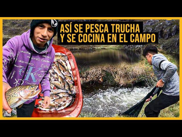 Así se pesca y cocina la trucha en el campo   | Reportaje al Perú