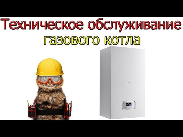 Газовый котел Техническое обслуживание Как правильно его делать и как НЕПРАВИЛЬНО на примере