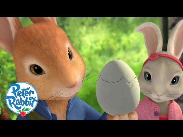 @OfficialPeterRabbit- Easter Special 2023  | The Rabbits' EGGcellent Adventures | Cartoons for Kids