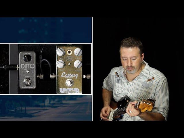 Taming The Ditto Looper For Blues Guitar (Texas Blues Alley Guide)