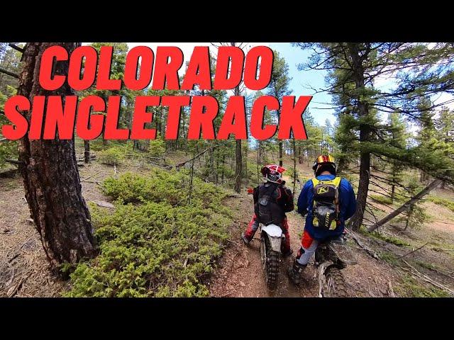 Beta 500 RRS vs Singletrack.