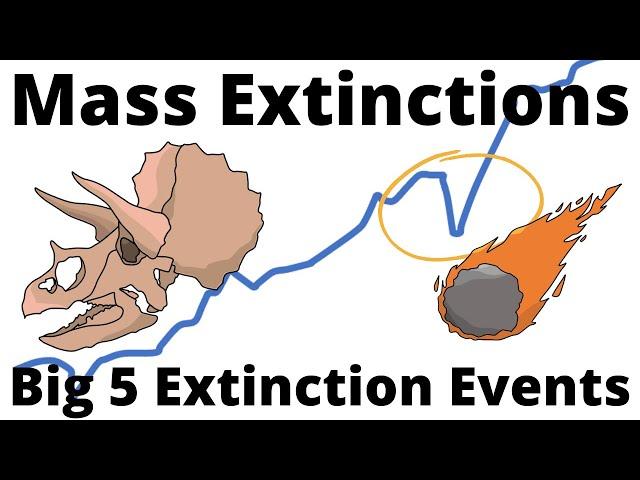 Big 5 Mass Extinction Events