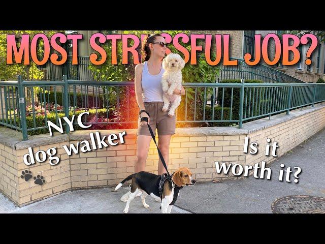 Day in the Life of a Dog Walker | NYC