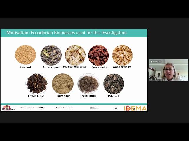 Research on Biomass Valorization at IDEMA | Daniela Almeida Streitwieser