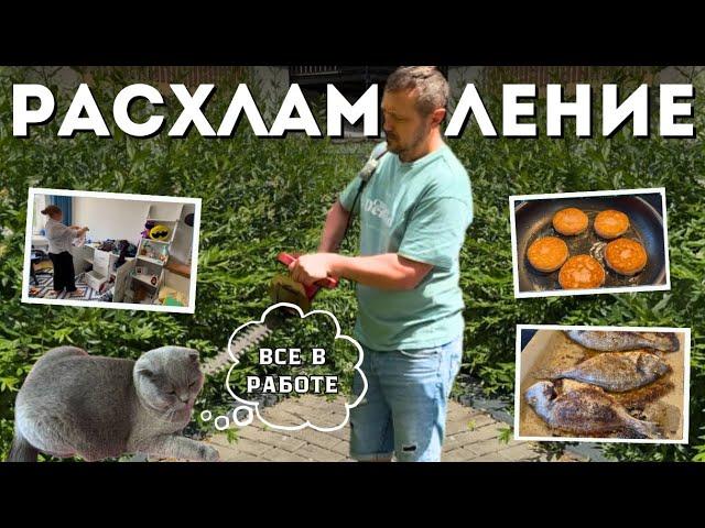 Странная беременность /Клубничные сырники Ковер в подвале и хлам мешками