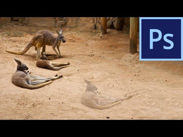 Photoshop CS6: Content-Aware Move Tool |