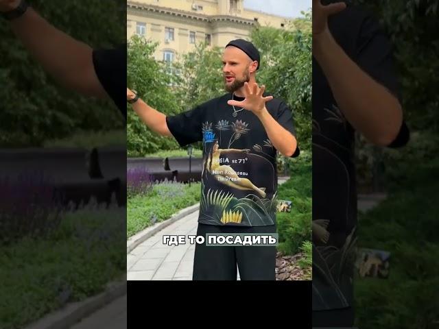 Не хватает «вау»‑эффекта в саду?Посадите один‑единственный солитёр — и ландшафт готов.Ирга Ламарка