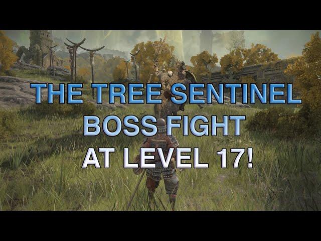 ELDEN RING™ Level 17 Vs The Tree Sentinel Boss Fight (PS4) Day 1