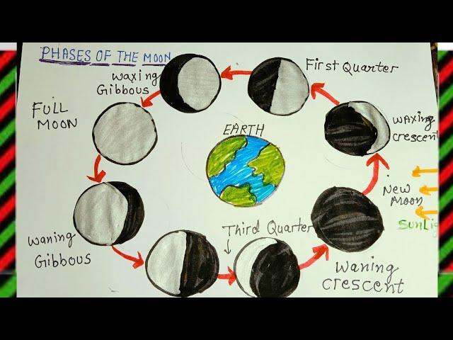 Moon phase drawing step by step/Moon phase diagram/How to draw phases of the moon/moon phase drawing