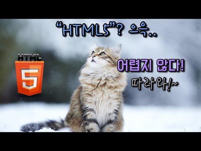 HTML5_[v5.0] 이미지 태그 part1 {코딩빈의 쉬운 'HTML'}