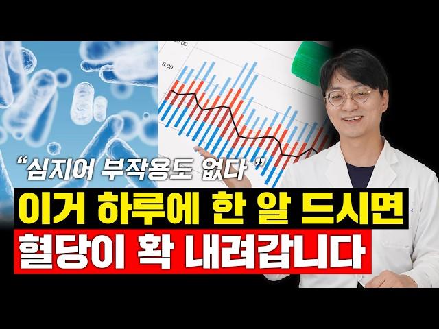 이거 하루 한알 먹으면 혈당을 가장 안전하게 낮출수가 있습니다 (혈당유산균)