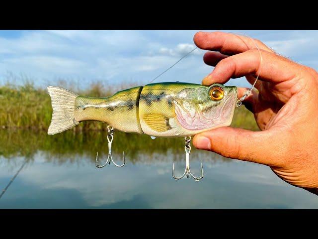 Making a LargeMouth Bass Wedge Nose Glidebait