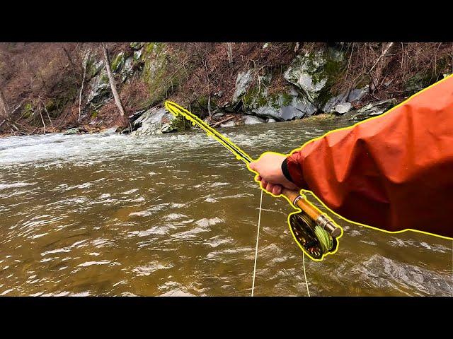 PRETTIEST BROOK TROUT I HAVE EVER SEEN. Fly Fishing During Flash Floods!!