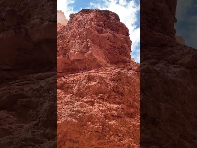 Bryce Canyon National Park - Navajo Loop and Queens Garden Trail - near Panguitch, Utah - June 2024