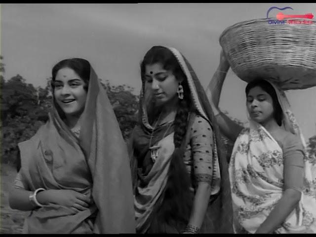 Rare Song - Supwe Nariarwe | सुपवे नरियरवे | Vijaya Chaudhary, Tarun Bose | Bhaiya 1961 Film