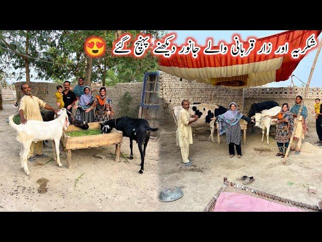 Sukriya Aur Zara Qurbani Waly Beel Dakny Ponh Gai Mehwish Village Vlogs