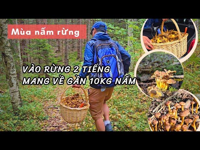 Bội thu gần 10kg Nấm không còn chổ đựng đành phải ra về