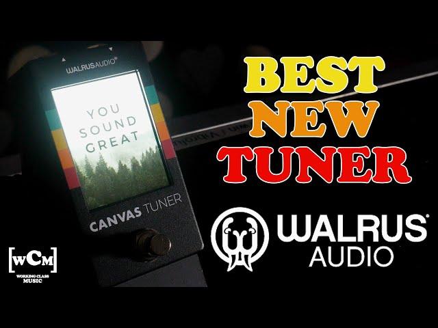 The BEST New TUNER? (Walrus Audio Canvas Tuner) | Working Class Music