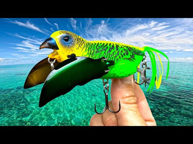 Weird Lures vs BIG Saltwater Fish