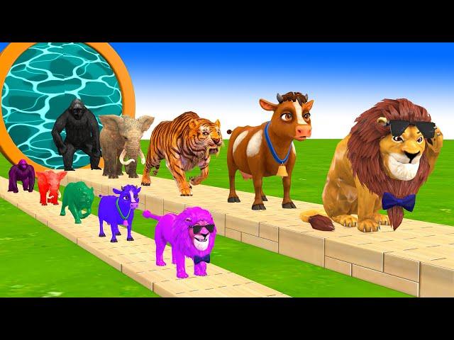 Paint & Animals Cow,Elephant,Lion,Tiger,Gorilla, Fountain Crossing Transformation Cartoon