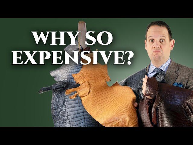 Why Are Crocodile & Alligator Leather Goods So Expensive?