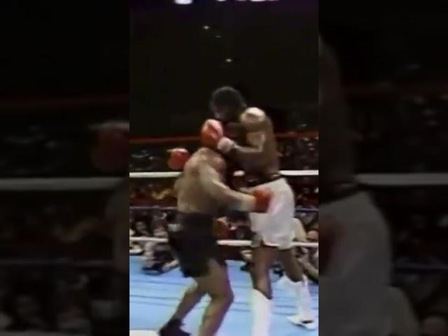 #boxing mike tyson vs mitch green #shorts