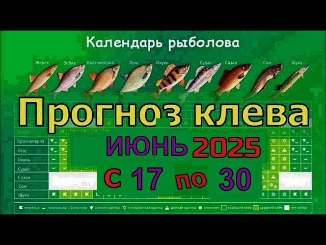 Когда лучше клюет рыба на этой неделе с 17 июня по 30 Июня 2025