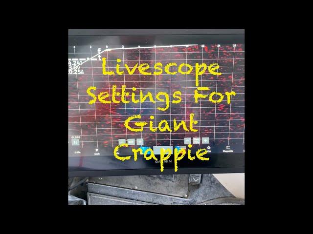 Garmin Livescope: Settings For Targeting Giant Crappie With Professional Guide Dan Langston