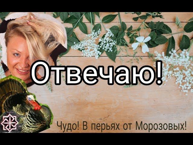 Отвечаю .