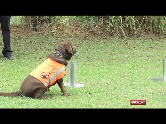 E NCA - Praise for dog training academy’s new drug detecting method