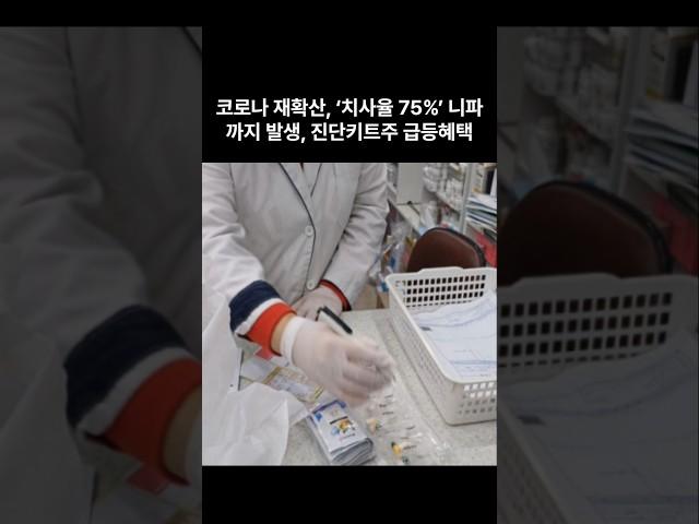 코로나 재확산,니파바이러스 확산으로 진단키트주 급등 #경제 #정보 #뉴스 #니파바이러스 #니파 #진단키트