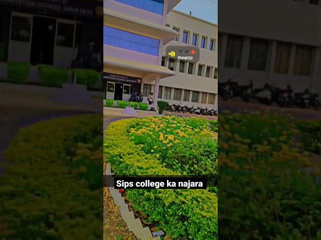 #sagar institute of pharmaceutical sciences  (SIPS) top college 
