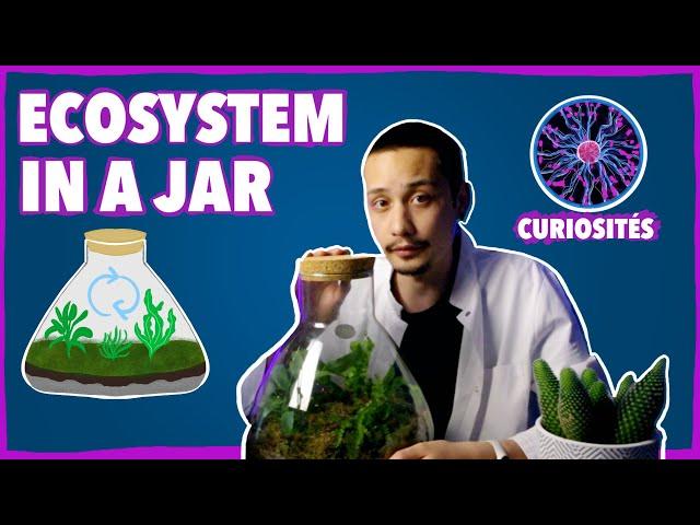 Building a Self-sustaining Microecosystem - Curiosités #2