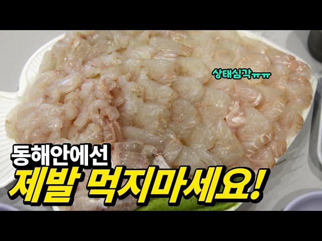 Raw fish that should not be eaten at tourist destinations in Korea (East Sea part)