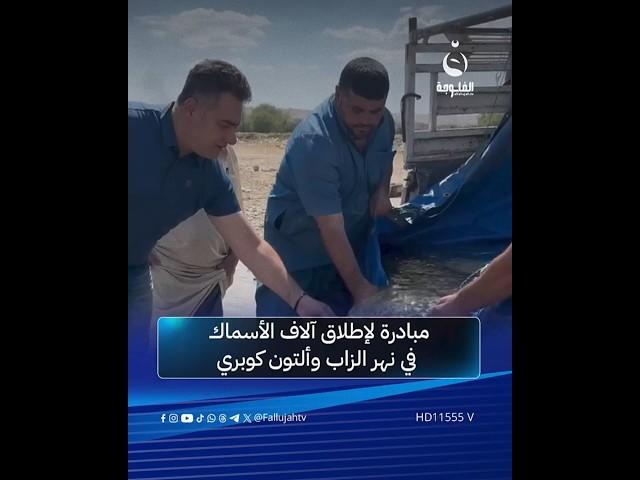 مبادرة لإطلاق آلاف الأسماك في نهر الزاب وألتون كوبري #متداول