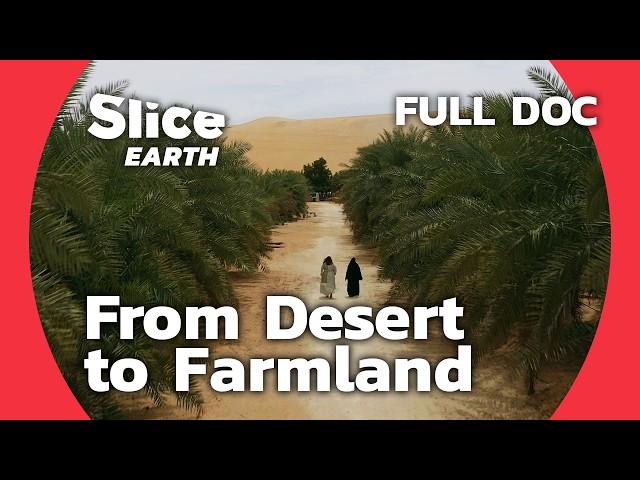 United Arab Emirates: Quenching the Thirst of Liwa | SLICE EARTH | FULL DOC