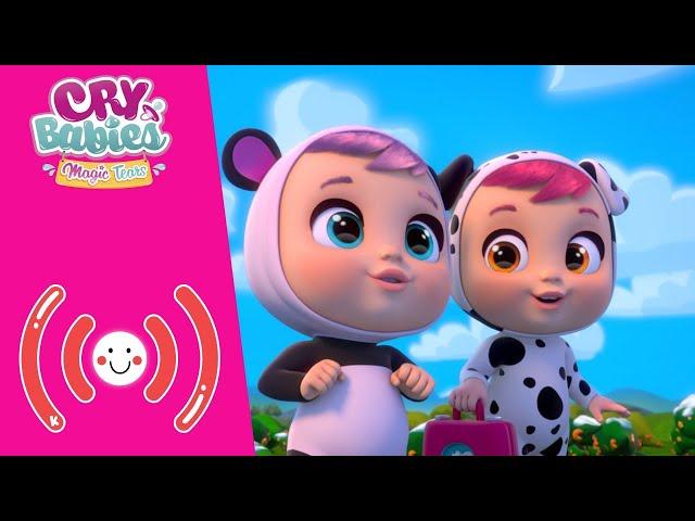 MULTA DISTRACTIE!  CRY BABIES  MAGIC TEARS  Episoade Integrale  DESENE pentru COPII în ROMÂNĂ