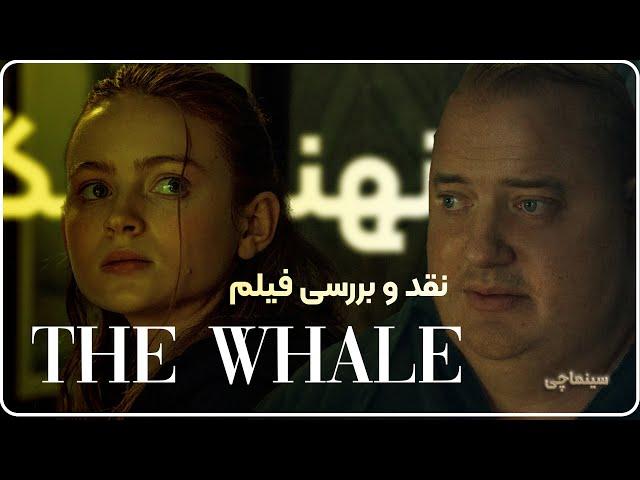 نقد و بررسی فیلم the whale | فیلم نهنگ از چه چیزی حرف می زد؟