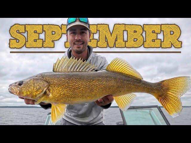 5 BEST September Walleye Tips (Late Summer to Early Fall Transition)