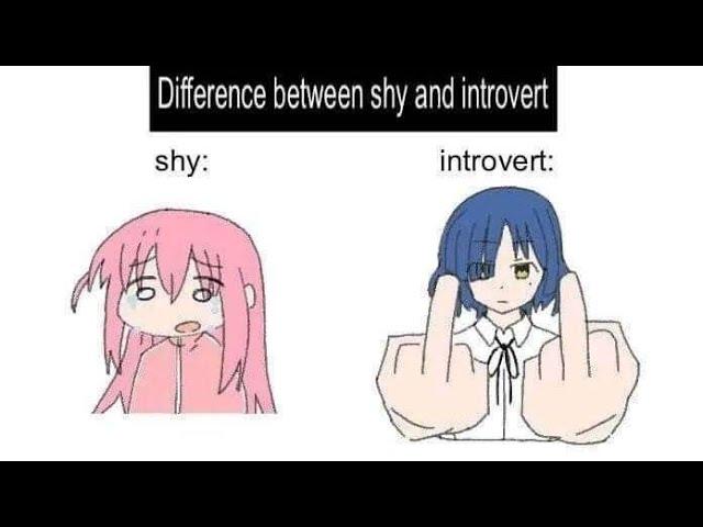 difference between shy and introvert...