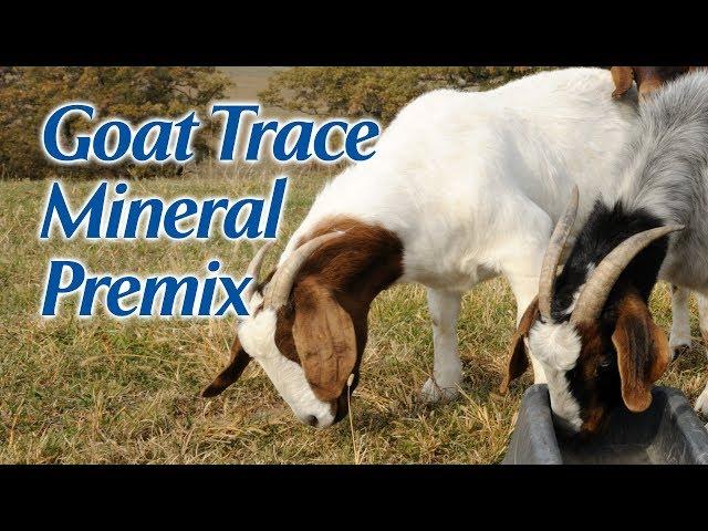 Goat Trace Mineral