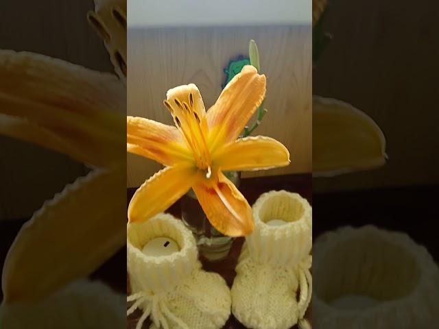 моё хобби