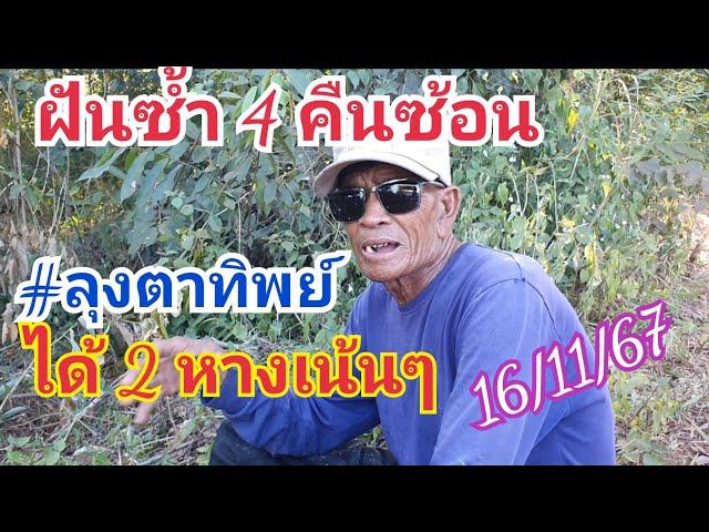 ฝันซ้ำ 4 คืนซ้อน #ลุงตาทิพย์ ให้ 2 หางเน้นๆ  16 พ.ย.67