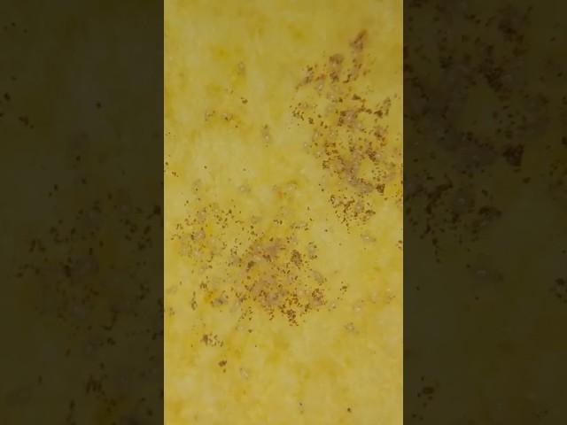 PRINGLES under the microscope..