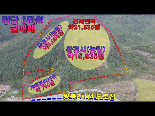횡성임야매매 서원면 왕복2차선 대로변에 길게 접한 횡성 임야 평당 3만원 저렴하게 매매 전원주택지와 임업인토지입니다.